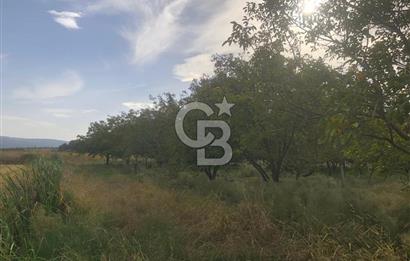 CB KiNG'DEN BALIKESİR MANYAS DURA MAH.ASFALT CEPHE SATILIK TARLA