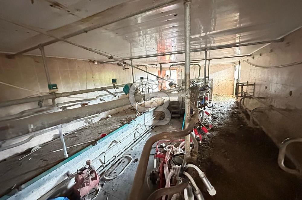 TURGUTLU 1.MINTIKA'DA SATILIK 26.350 M2 BÜYÜKBAŞ ÇİFTLİĞİ