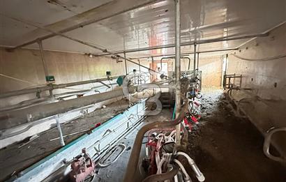 TURGUTLU 1.MINTIKA'DA SATILIK 26.350 M2 BÜYÜKBAŞ ÇİFTLİĞİ
