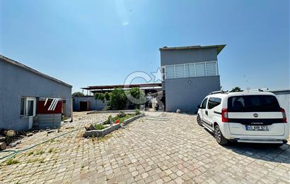 TURGUTLU 1.MINTIKA'DA SATILIK 26.350 M2 BÜYÜKBAŞ ÇİFTLİĞİ
