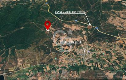 ÇANAKKALE LAPSEKİ DİŞBUDAK KÖYÜNDE SATILIK ARAZİ 