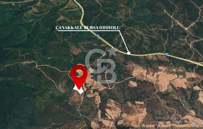 ÇANAKKALE LAPSEKİ DİŞBUDAK KÖYÜNDE SATILIK ARAZİ 