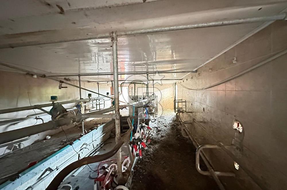 TURGUTLU 1.MINTIKA'DA SATILIK 26.350 M2 BÜYÜKBAŞ ÇİFTLİĞİ