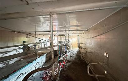 TURGUTLU 1.MINTIKA'DA SATILIK 26.350 M2 BÜYÜKBAŞ ÇİFTLİĞİ