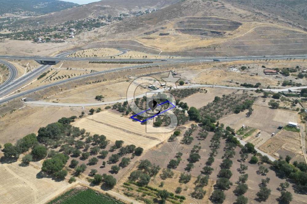 CB İYA'DAN ALİAĞA HELVACIDA SATILIK BÜYÜK PARSEL HOBİ ZEYTİN BAHÇESİ