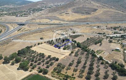 CB İYA'DAN ALİAĞA HELVACIDA SATILIK BÜYÜK PARSEL HOBİ ZEYTİN BAHÇESİ