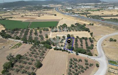 CB İYA'DAN ALİAĞA HELVACIDA SATILIK BÜYÜK PARSEL HOBİ ZEYTİN BAHÇESİ