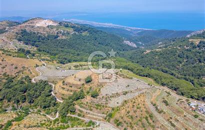  KARABAĞLAR KAVACIK KÖYÜ’NDE 16.225 m² ÜZÜM BAĞI – YATIRIMLIK FIRSAT