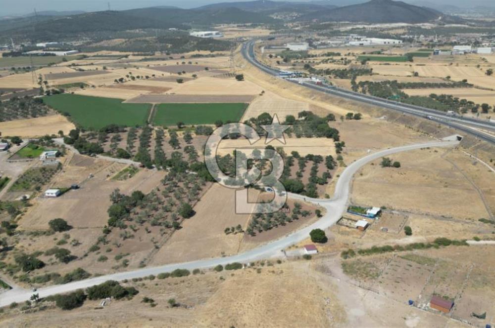CB İYA'DAN ALİAĞA HELVACIDA SATILIK BÜYÜK PARSEL HOBİ ZEYTİN BAHÇESİ