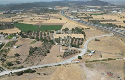 CB İYA'DAN ALİAĞA HELVACIDA SATILIK BÜYÜK PARSEL HOBİ ZEYTİN BAHÇESİ