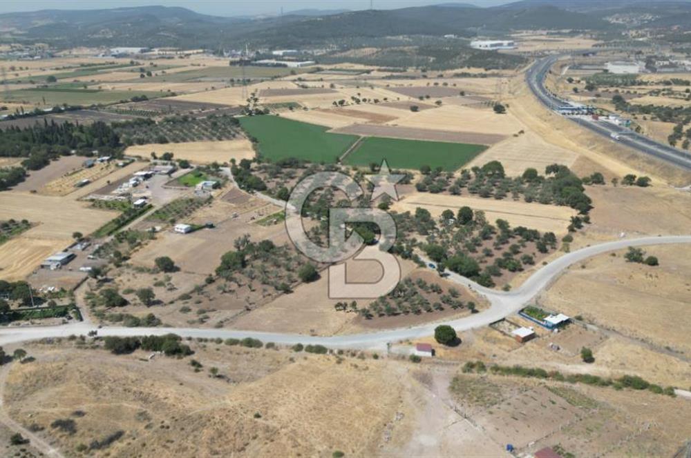 CB İYA'DAN ALİAĞA HELVACIDA SATILIK BÜYÜK PARSEL HOBİ ZEYTİN BAHÇESİ