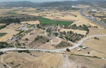 CB İYA'DAN ALİAĞA HELVACIDA SATILIK BÜYÜK PARSEL HOBİ ZEYTİN BAHÇESİ