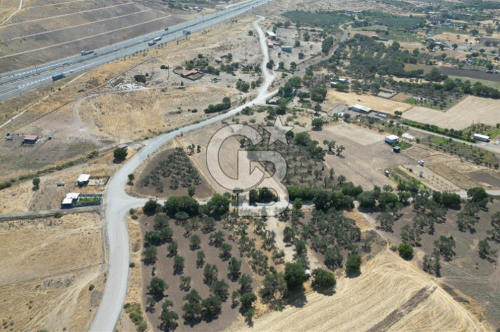 CB İYA'DAN ALİAĞA HELVACIDA SATILIK BÜYÜK PARSEL HOBİ ZEYTİN BAHÇESİ