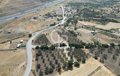 CB İYA'DAN ALİAĞA HELVACIDA SATILIK BÜYÜK PARSEL HOBİ ZEYTİN BAHÇESİ