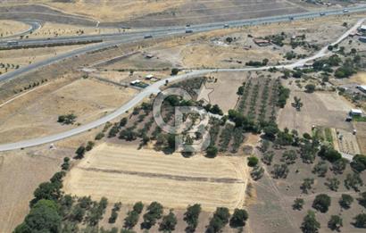 CB İYA'DAN ALİAĞA HELVACIDA SATILIK BÜYÜK PARSEL HOBİ ZEYTİN BAHÇESİ
