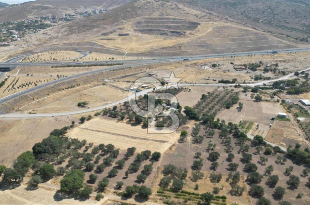 CB İYA'DAN ALİAĞA HELVACIDA SATILIK BÜYÜK PARSEL HOBİ ZEYTİN BAHÇESİ