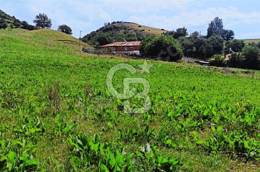 TUNCELİ MERKEZ YATIRIM YAPMANIN VE KAZANMANIN ZAMANI