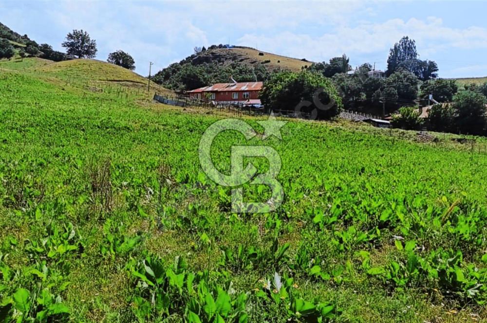 TUNCELİ MERKEZ YATIRIM YAPMANIN VE KAZANMANIN ZAMANI