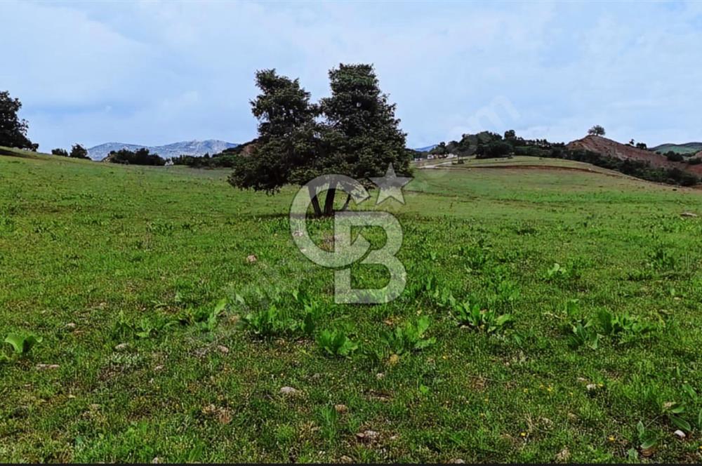 TUNCELİ MERKEZ'DE ARSA FIRSATI