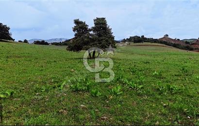 TUNCELİ MERKEZ'DE ARSA FIRSATI