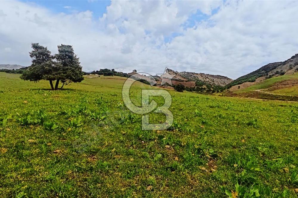 TUNCELİ MERKEZ'DE ARSA FIRSATI