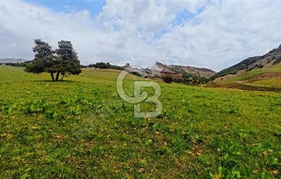 TUNCELİ MERKEZ'DE ARSA FIRSATI