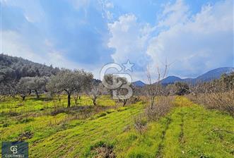 KEMALPAŞA VİŞNELİ KÖYÜNDE ACİL 12.500 m² YATIRIM FIRSATI