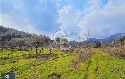 KEMALPAŞA VİŞNELİ KÖYÜNDE ACİL 12.500 m² YATIRIM FIRSATI