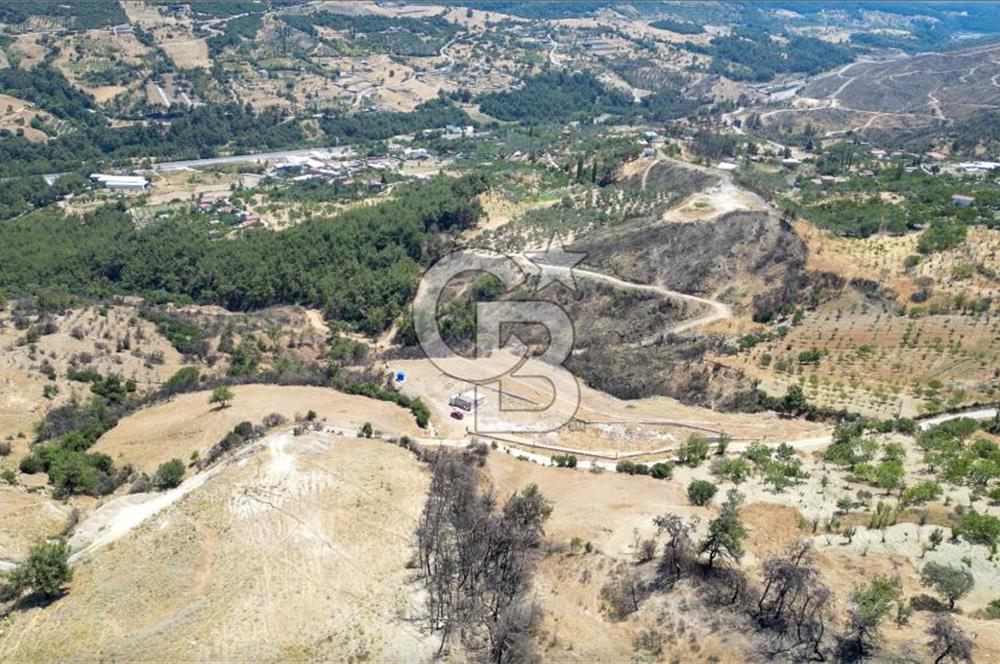 Bornova Sarnıç Köy’de Satılık 8.670 m2 Tarla