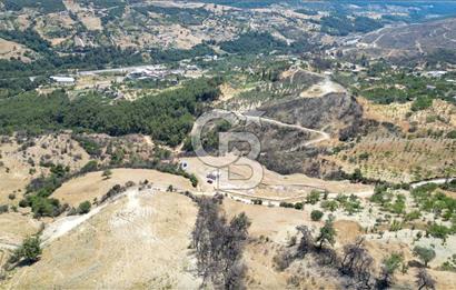 Bornova Sarnıç Köy’de Satılık 8.670 m2 Tarla