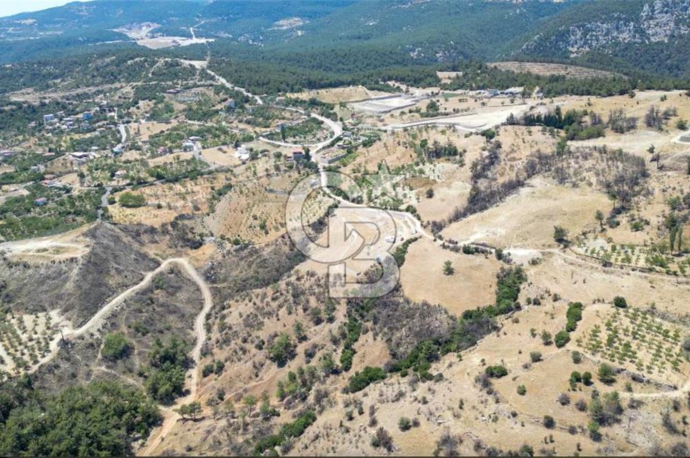 Bornova Sarnıç Köy’de Satılık 8.670 m2 Tarla