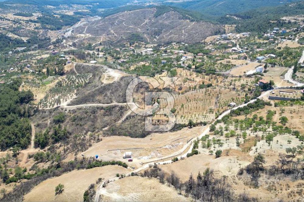 Bornova Sarnıç Köy’de Satılık 8.670 m2 Tarla