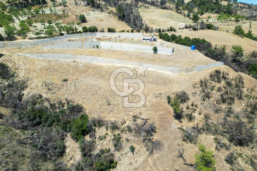 Bornova Sarnıç Köy’de Satılık 8.670 m2 Tarla