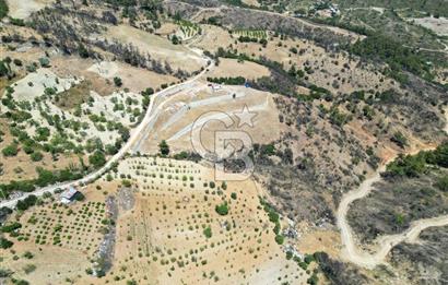 Bornova Sarnıç Köy’de Satılık 8.670 m2 Tarla