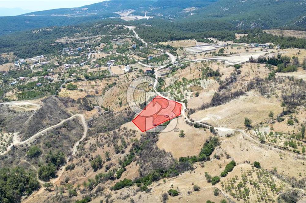 Bornova Sarnıç Köy’de Satılık 8.670 m2 Tarla