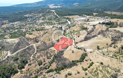 Bornova Sarnıç Köy’de Satılık 8.670 m2 Tarla