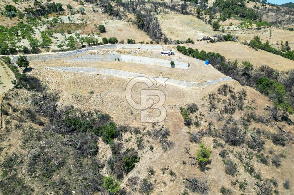 Bornova Sarnıç Köy’de Satılık 8.670 m2 Tarla
