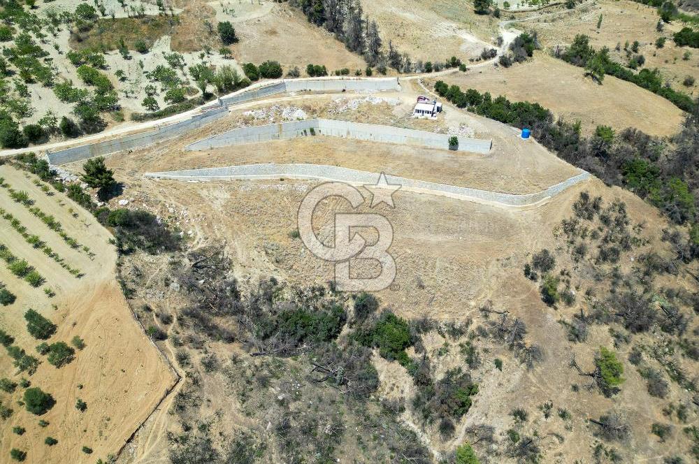 Bornova Sarnıç Köy’de Satılık 8.670 m2 Tarla