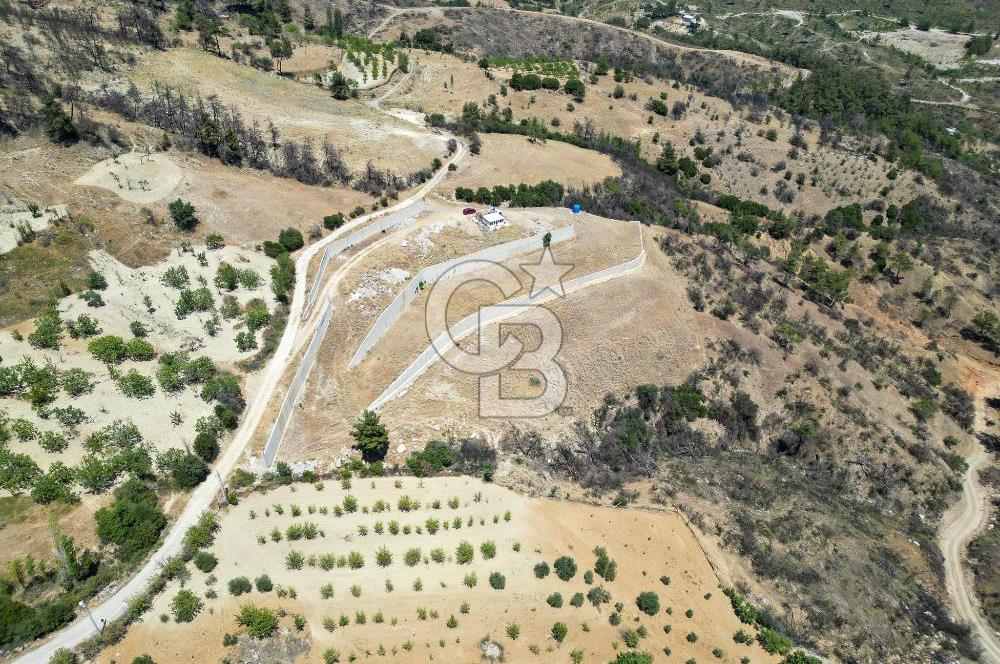 Bornova Sarnıç Köy’de Satılık 8.670 m2 Tarla