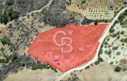 Bornova Sarnıç Köy’de Satılık 8.670 m2 Tarla