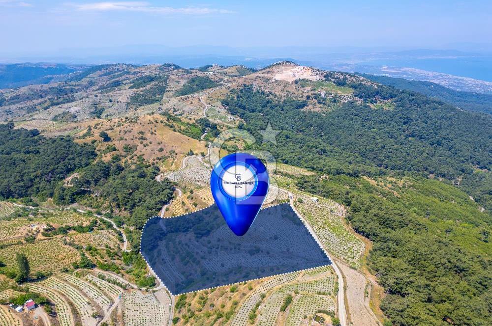  KARABAĞLAR KAVACIK KÖYÜ’NDE 16.225 m² ÜZÜM BAĞI – YATIRIMLIK FIRSAT