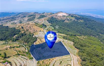  KARABAĞLAR KAVACIK KÖYÜ’NDE 16.225 m² ÜZÜM BAĞI – YATIRIMLIK FIRSAT