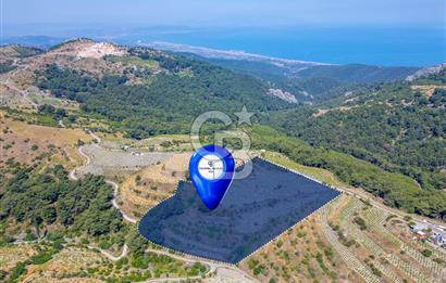  KARABAĞLAR KAVACIK KÖYÜ’NDE 16.225 m² ÜZÜM BAĞI – YATIRIMLIK FIRSAT