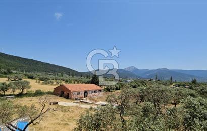 KEMALPAŞA VİŞNELİ SATILIK ÇİFTLİK