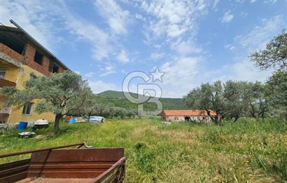 KEMALPAŞA VİŞNELİ SATILIK ÇİFTLİK