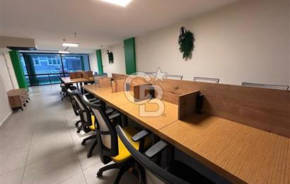 Altınordu Yeni Mahalle'de Devren Kiralık 2 Katlı Full Donanımlı ve Lüks Ofis