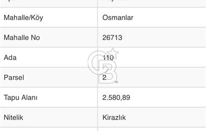 BAYINDIR OSMANLAR DA SATILIK 2581 M2 KİRAZLIK