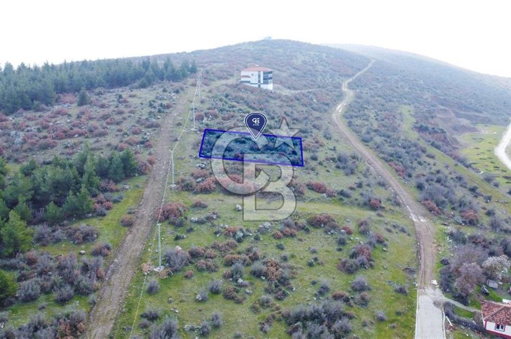 CB KiNG'DEN ALTIEYLÜL İNKAYA MAHALLESİNDE SATILIK ARSA