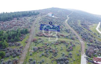 CB KiNG'DEN ALTIEYLÜL İNKAYA MAHALLESİNDE SATILIK ARSA