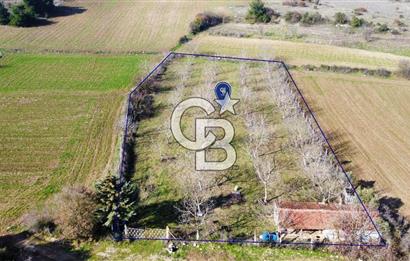 CB KiNG'DEN PAMUKÇU DA MERKEZE 15DK SATILIK CEVİZ BAHÇESİ